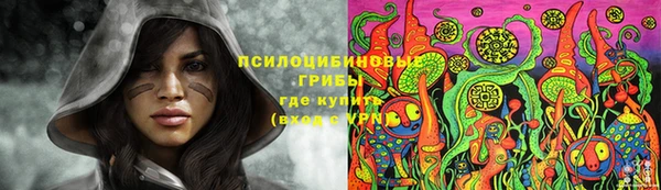метадон Аркадак