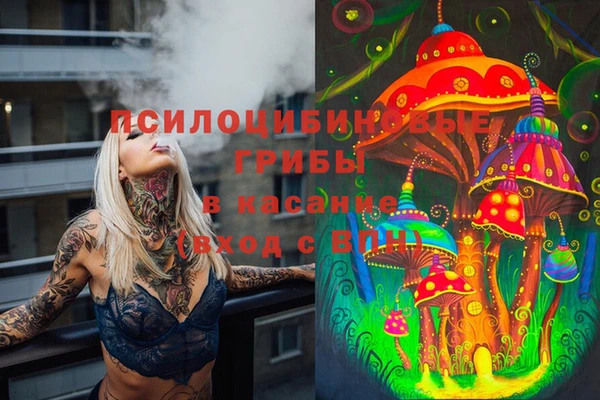 метадон Аркадак